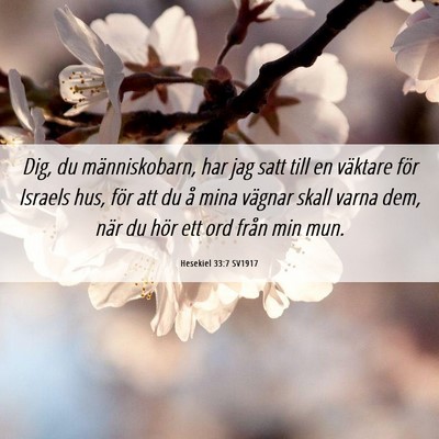 Picture 06 - Hesekiel 33:7 SV1917 - Dig, du människobarn, har jag satt till en - Bible Verse Picture