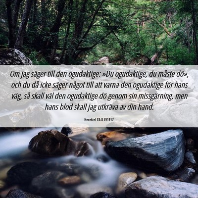 Picture 06 - Hesekiel 33:8 SV1917 - Om jag säger till den ogudaktige: »Du - Bible Verse Picture