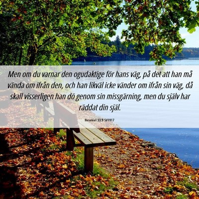 Picture 06 - Hesekiel 33:9 SV1917 - Men om du varnar den ogudaktige för hans väg, - Bible Verse Picture