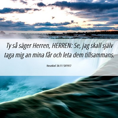 Picture 06 - Hesekiel 34:11 SV1917 - Ty så säger Herren, HERREN: Se, jag skall - Bible Verse Picture