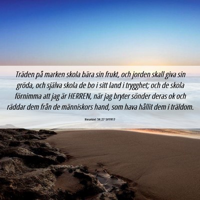 Picture 06 - Hesekiel 34:27 SV1917 - Träden på marken skola bära sin frukt, och - Bible Verse Picture