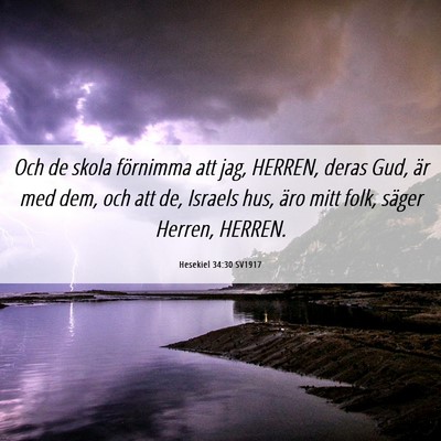 Picture 06 - Hesekiel 34:30 SV1917 - Och de skola förnimma att jag, HERREN, deras - Bible Verse Picture