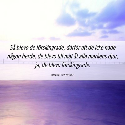 Picture 06 - Hesekiel 34:5 SV1917 - Så blevo de förskingrade, därför att de icke - Bible Verse Picture