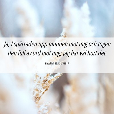 Picture 06 - Hesekiel 35:13 SV1917 - Ja, I spärraden upp munnen mot mig och togen den - Bible Verse Picture
