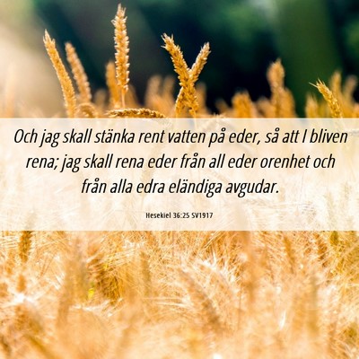 Picture 06 - Hesekiel 36:25 SV1917 - Och jag skall stänka rent vatten på eder, så - Bible Verse Picture