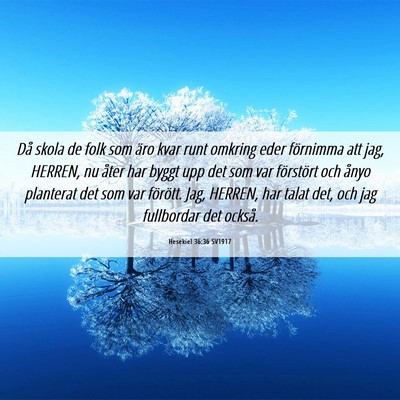 Picture 06 - Hesekiel 36:36 SV1917 - Då skola de folk som äro kvar runt omkring eder - Bible Verse Picture