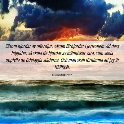Picture 06 - Hesekiel 36:38 SV1917 - Såsom hjordar av offerdjur, såsom fårhjordar i - Bible Verse Picture