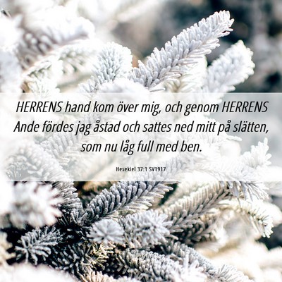 Picture 06 - Hesekiel 37:1 SV1917 - HERRENS hand kom över mig, och genom HERRENS - Bible Verse Picture