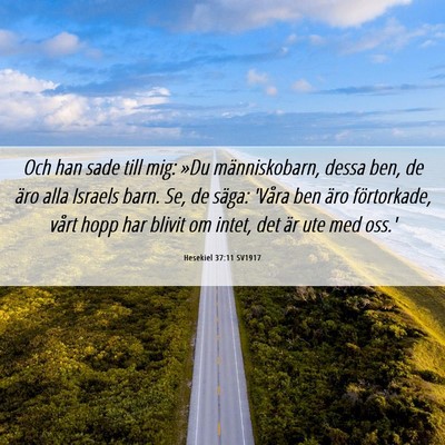 Picture 06 - Hesekiel 37:11 SV1917 - Och han sade till mig: »Du människobarn, dessa - Bible Verse Picture