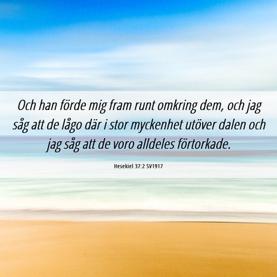 Picture 06 - Hesekiel 37:2 SV1917 - Och han förde mig fram runt omkring dem, och jag - Bible Verse Picture
