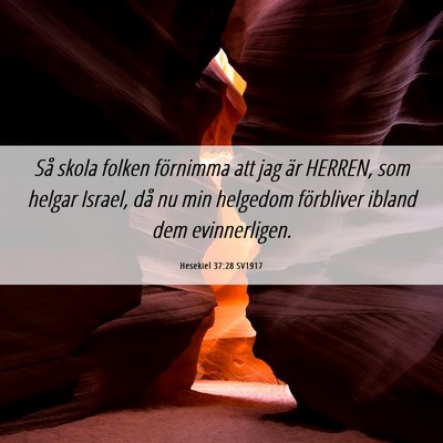 Picture 06 - Hesekiel 37:28 SV1917 - Så skola folken förnimma att jag är HERREN, - Bible Verse Picture