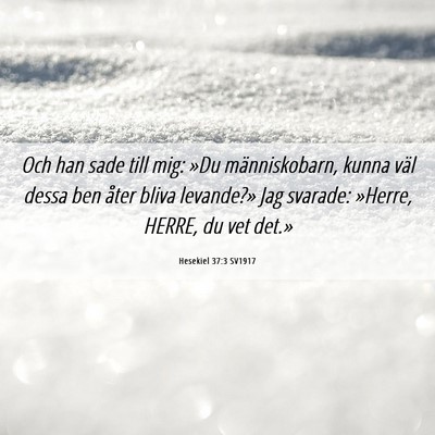 Picture 06 - Hesekiel 37:3 SV1917 - Och han sade till mig: »Du människobarn, kunna - Bible Verse Picture