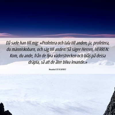 Picture 06 - Hesekiel 37:9 SV1917 - Då sade han till mig: »Profetera och tala till - Bible Verse Picture