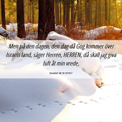 Picture 06 - Hesekiel 38:18 SV1917 - Men på den dagen, den dag då Gog kommer över - Bible Verse Picture