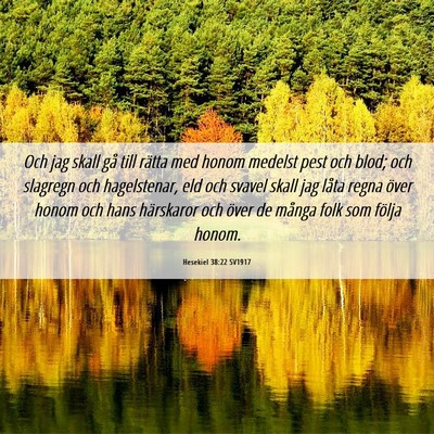 Picture 06 - Hesekiel 38:22 SV1917 - Och jag skall gå till rätta med honom medelst - Bible Verse Picture