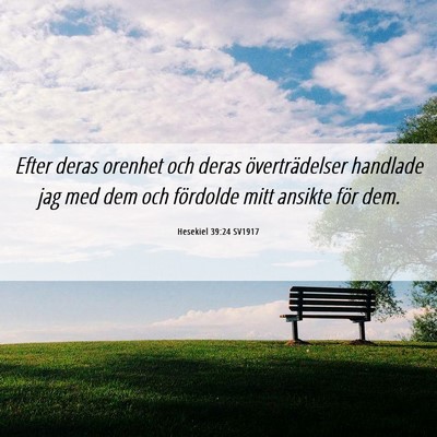 Picture 06 - Hesekiel 39:24 SV1917 - Efter deras orenhet och deras överträdelser - Bible Verse Picture
