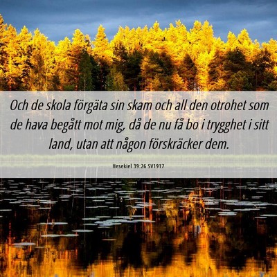 Picture 06 - Hesekiel 39:26 SV1917 - Och de skola förgäta sin skam och all den - Bible Verse Picture