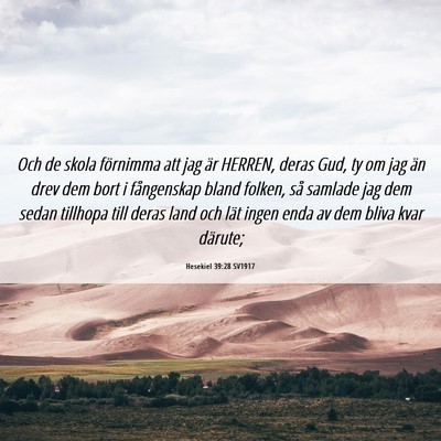 Picture 06 - Hesekiel 39:28 SV1917 - Och de skola förnimma att jag är HERREN, deras - Bible Verse Picture