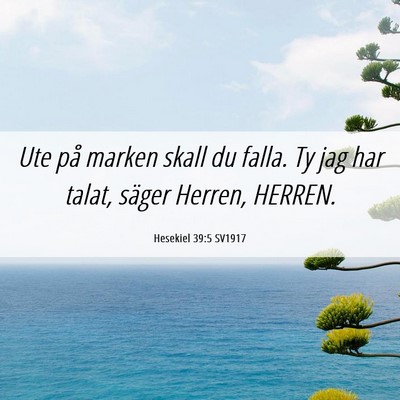Picture 06 - Hesekiel 39:5 SV1917 - Ute på marken skall du falla. Ty jag har talat, - Bible Verse Picture