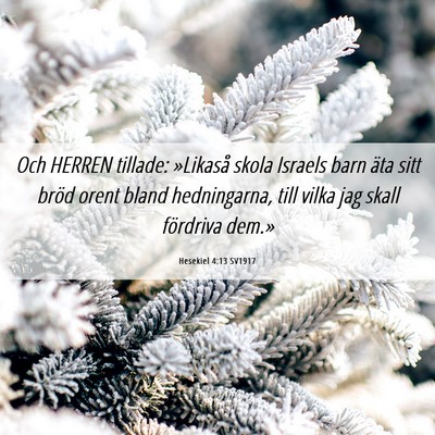 Picture 06 - Hesekiel 4:13 SV1917 - Och HERREN tillade: »Likaså skola Israels barn - Bible Verse Picture