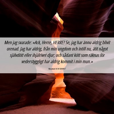 Picture 06 - Hesekiel 4:14 SV1917 - Men jag svarade: »Ack, Herre, HERRE! Se, jag har - Bible Verse Picture