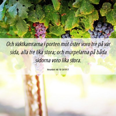 Picture 06 - Hesekiel 40:10 SV1917 - Och vaktkamrarna i porten mot öster voro tre på - Bible Verse Picture