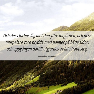 Picture 06 - Hesekiel 40:34 SV1917 - Och dess förhus låg mot den yttre förgården, - Bible Verse Picture