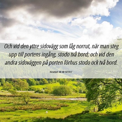 Picture 06 - Hesekiel 40:40 SV1917 - Och vid den yttre sidovägg som låg norrut, när - Bible Verse Picture