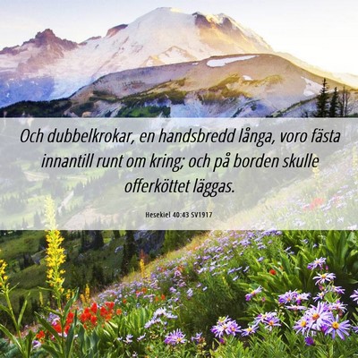 Picture 06 - Hesekiel 40:43 SV1917 - Och dubbelkrokar, en handsbredd långa, voro - Bible Verse Picture