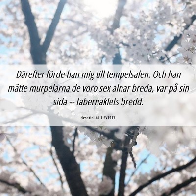 Picture 06 - Hesekiel 41:1 SV1917 - Därefter förde han mig till tempelsalen. Och - Bible Verse Picture