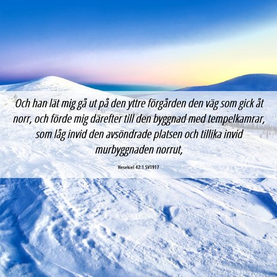Picture 06 - Hesekiel 42:1 SV1917 - Och han lät mig gå ut på den yttre förgården - Bible Verse Picture