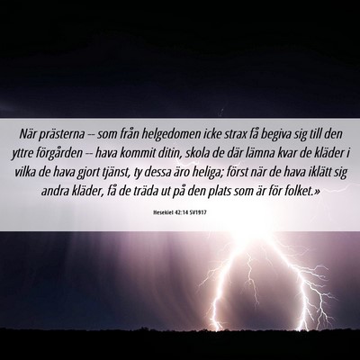 Picture 06 - Hesekiel 42:14 SV1917 - När prästerna -- som från helgedomen icke - Bible Verse Picture