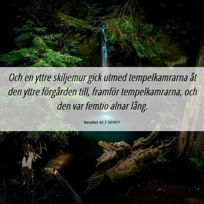 Picture 06 - Hesekiel 42:7 SV1917 - Och en yttre skiljemur gick utmed tempelkamrarna - Bible Verse Picture