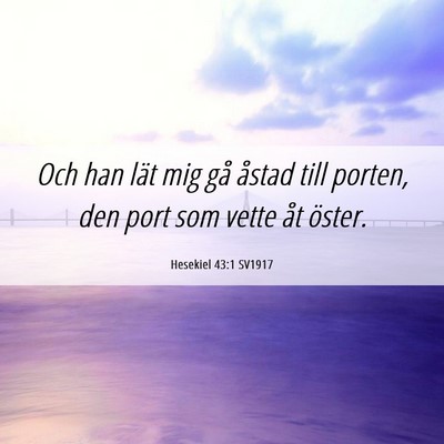 Picture 06 - Hesekiel 43:1 SV1917 - Och han lät mig gå åstad till porten, den port - Bible Verse Picture