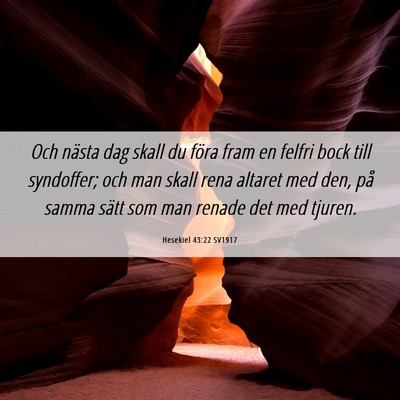 Picture 06 - Hesekiel 43:22 SV1917 - Och nästa dag skall du föra fram en felfri bock - Bible Verse Picture