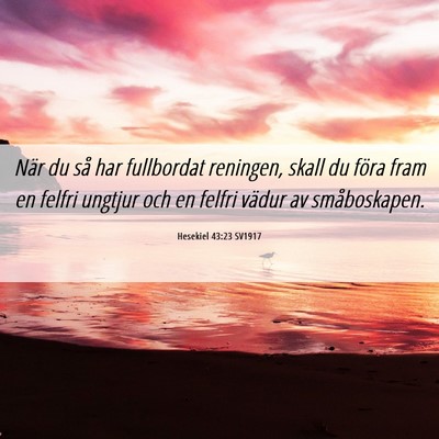 Picture 06 - Hesekiel 43:23 SV1917 - När du så har fullbordat reningen, skall du - Bible Verse Picture