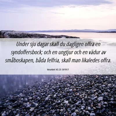 Picture 06 - Hesekiel 43:25 SV1917 - Under sju dagar skall du dagligen offra en - Bible Verse Picture