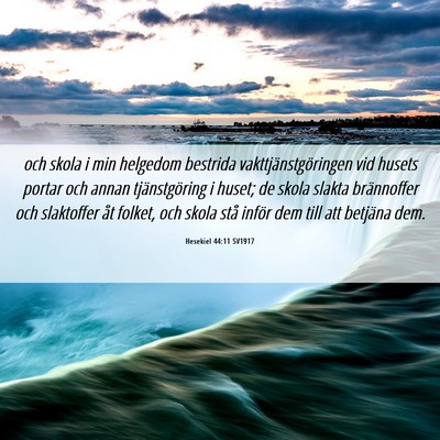 Picture 06 - Hesekiel 44:11 SV1917 - och skola i min helgedom bestrida - Bible Verse Picture