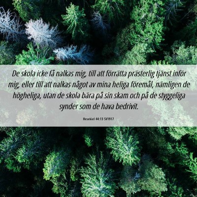 Picture 06 - Hesekiel 44:13 SV1917 - De skola icke få nalkas mig, till att förrätta - Bible Verse Picture