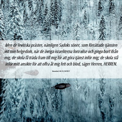 Picture 06 - Hesekiel 44:15 SV1917 - Men de levitiska präster, nämligen Sadoks - Bible Verse Picture