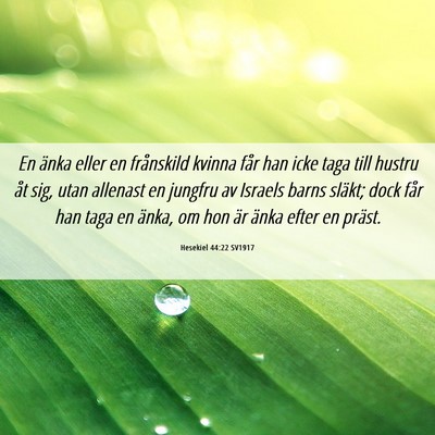Picture 06 - Hesekiel 44:22 SV1917 - En änka eller en frånskild kvinna får han icke - Bible Verse Picture