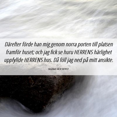 Picture 06 - Hesekiel 44:4 SV1917 - Därefter förde han mig genom norra porten till - Bible Verse Picture