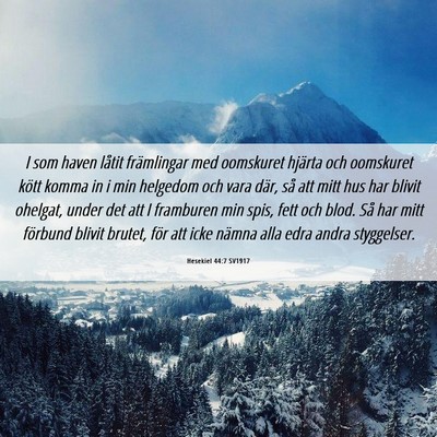 Picture 06 - Hesekiel 44:7 SV1917 - I som haven låtit främlingar med oomskuret - Bible Verse Picture