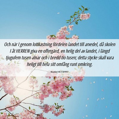Picture 06 - Hesekiel 45:1 SV1917 - Och när I genom lottkastning fördelen landet - Bible Verse Picture