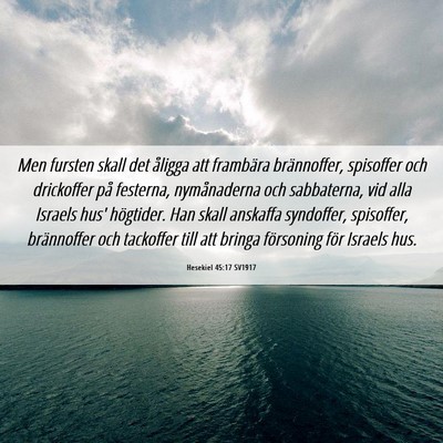 Picture 06 - Hesekiel 45:17 SV1917 - Men fursten skall det åligga att frambära - Bible Verse Picture