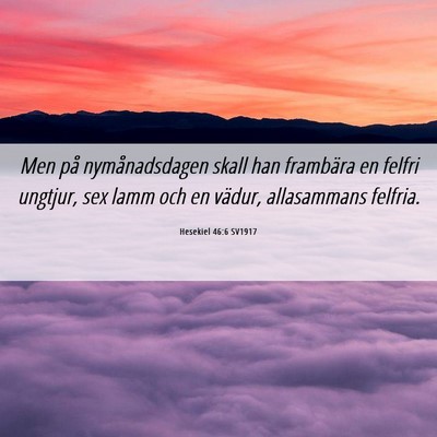 Picture 06 - Hesekiel 46:6 SV1917 - Men på nymånadsdagen skall han frambära en - Bible Verse Picture