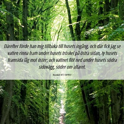 Picture 06 - Hesekiel 47:1 SV1917 - Därefter förde han mig tillbaka till husets - Bible Verse Picture
