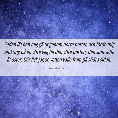 Picture 06 - Hesekiel 47:2 SV1917 - Sedan lät han mig gå ut genom norra porten och - Bible Verse Picture
