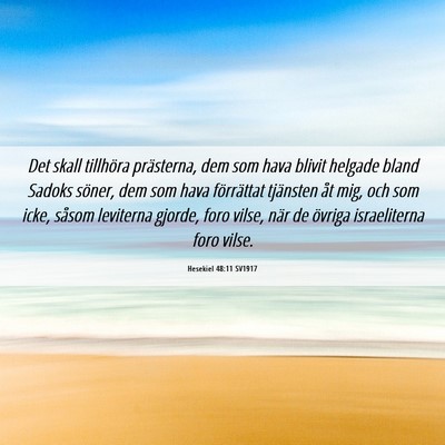 Picture 06 - Hesekiel 48:11 SV1917 - Det skall tillhöra prästerna, dem som hava - Bible Verse Picture