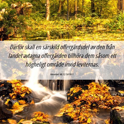 Picture 06 - Hesekiel 48:12 SV1917 - Därför skall en särskild offergärdsdel av den - Bible Verse Picture
